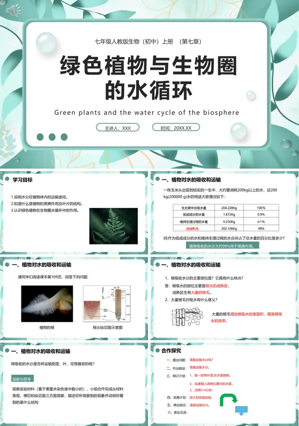 七年级生物上册第三单元第三章绿色植物与生物圈的水循环课件PPT模板