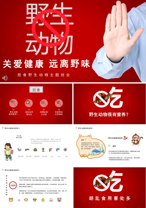 拒绝食用野生动物主题班会ppt模板