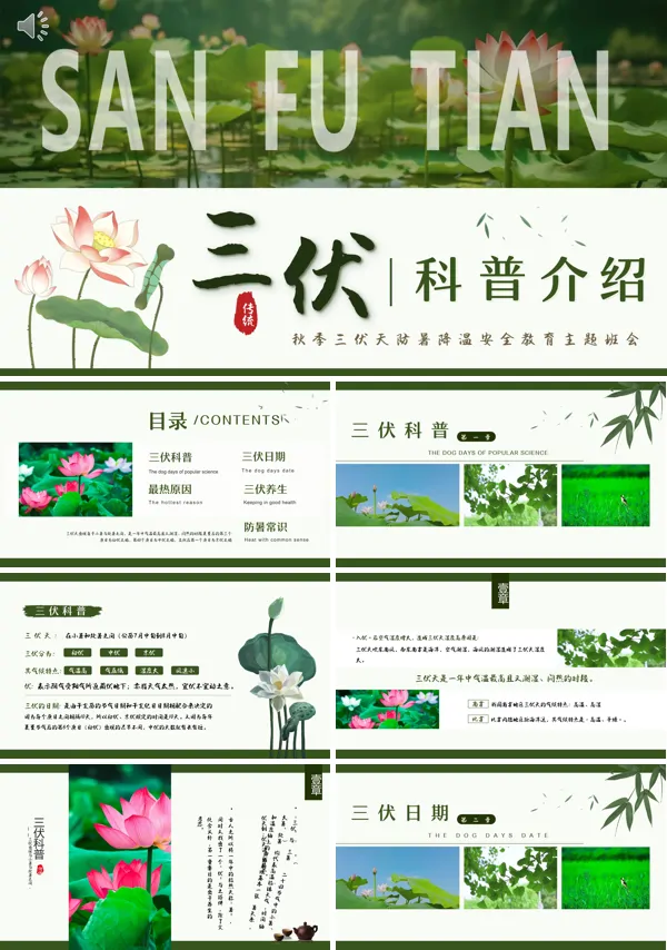 三伏天知识宣传PPT模板