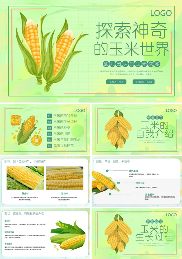 认识玉米幼儿园PPT课件
