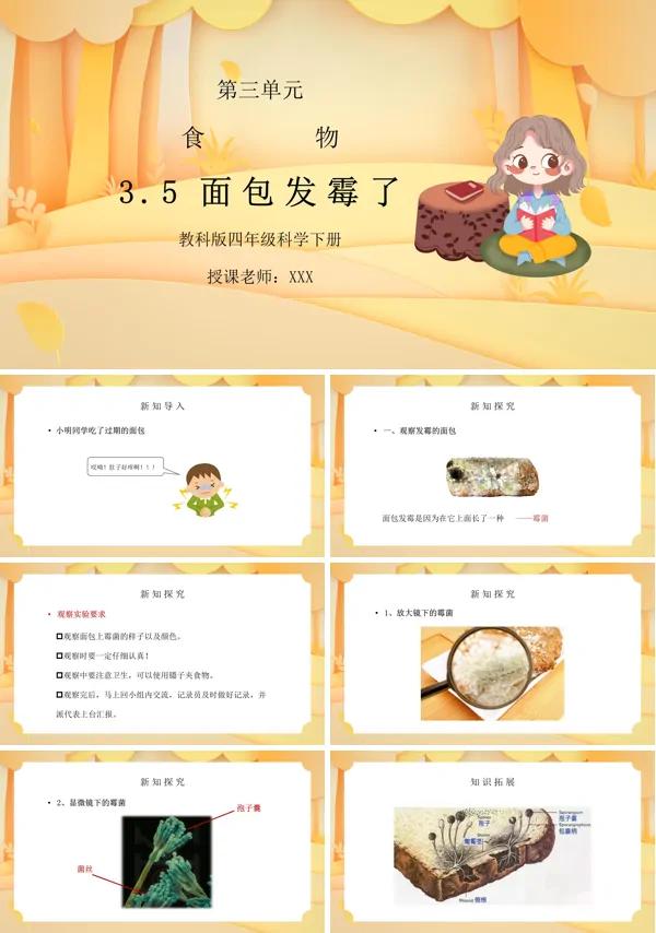 四年级下册科学第三单元面包发霉了PPT课件