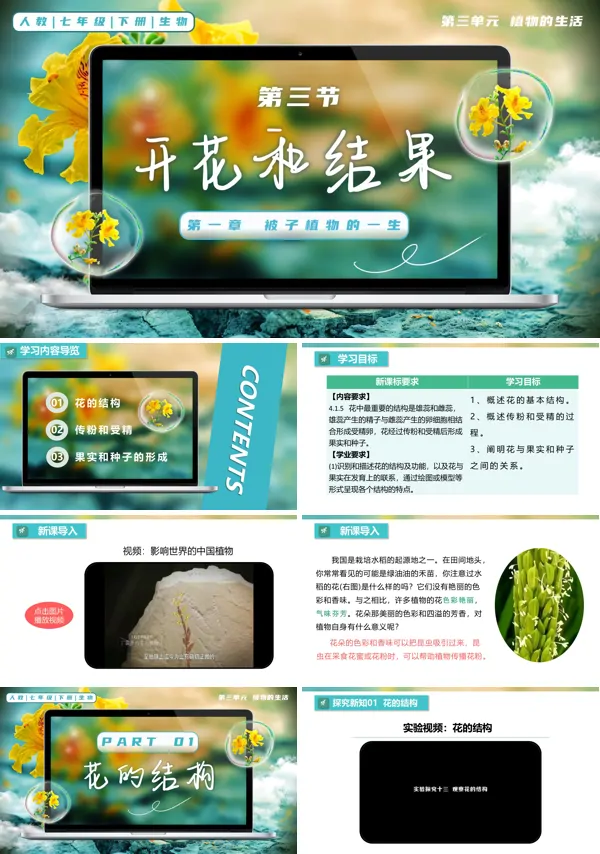 七年级生物下册第三单元3.1.3 开花和结果PPT课件（教案+导学案+分层作业）