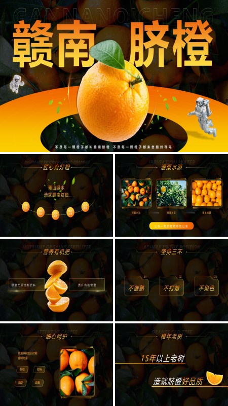 江西脐橙营销推广方案PPT模板