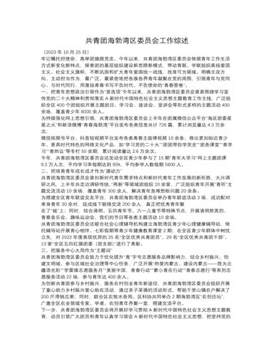 共青团海勃湾区委员会工作综述（定制版）