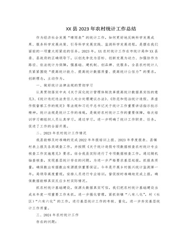 XX县2023年农村统计工作总结（成品）