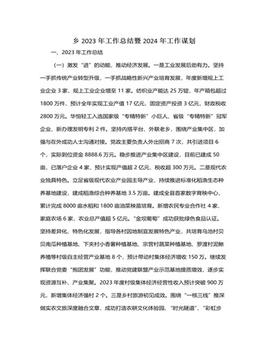 乡2023年工作总结暨2024年工作谋划（内容型）