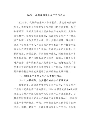 2024上半年某镇安全生产工作总结（内容型）