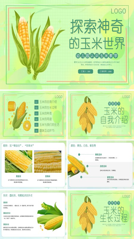 认识玉米幼儿园PPT课件