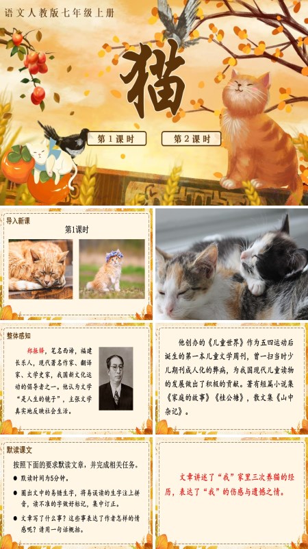 语文人教版《猫》七年级上册PPT课件含教案