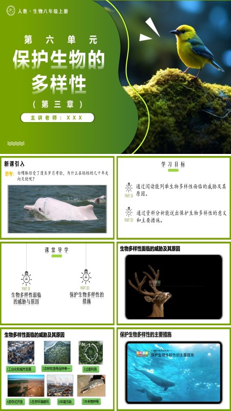 人教八年级生物上册6.3保护生物的多样性PPT课件含教案