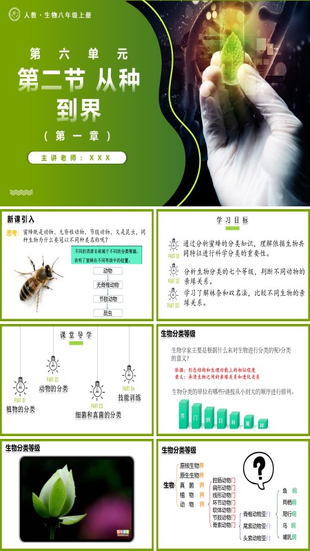 人教八年级生物上册6.1.2从种到界PPT课件含教案