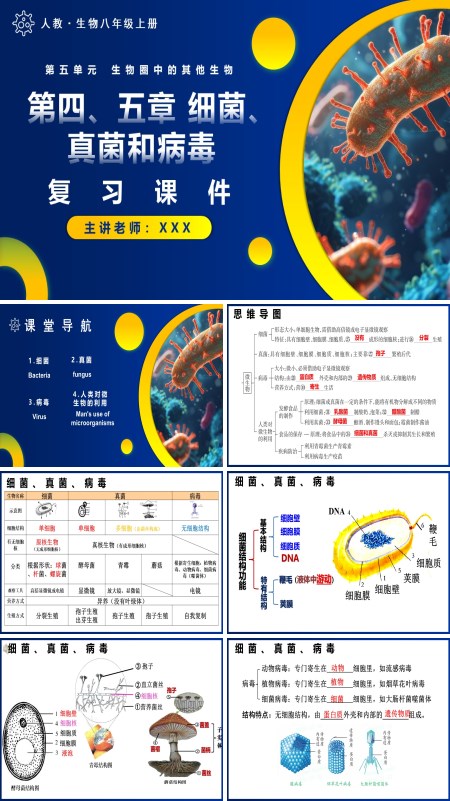 人教八年级生物上册第五单元第四、五章细菌、真菌和病毒复习课件PPT课件含教案