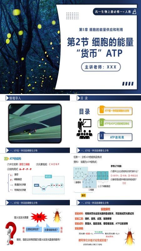 高一人教生物上册必修一5.2细胞的能量货币ATP课件PPT含教案