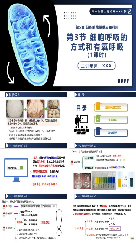 高一人教生物上册必修一5.3.1细胞呼吸的方式和有氧呼吸PPT课件含教案