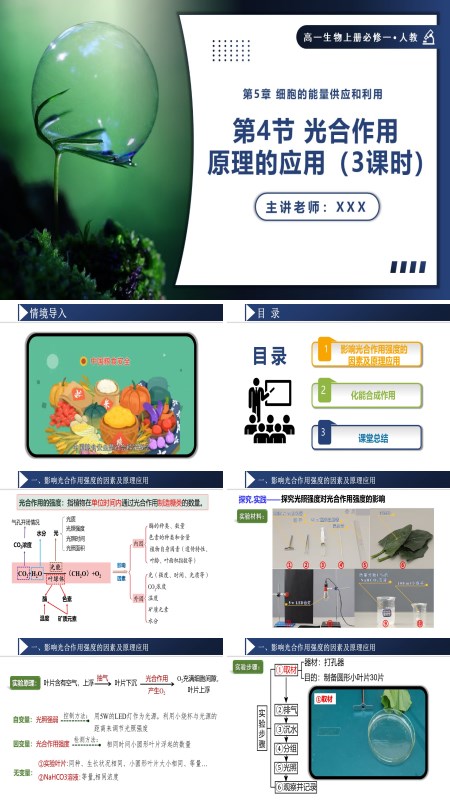 高一人教生物上册必修一5.4.3光合作用原理的应用PPT课件含教案