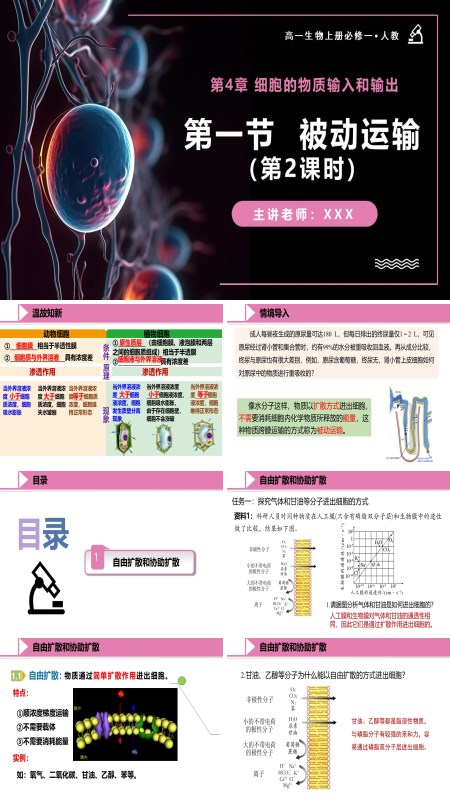 高一人教生物上册必修一4.1被动运输（第2课时）PPT课件含教案