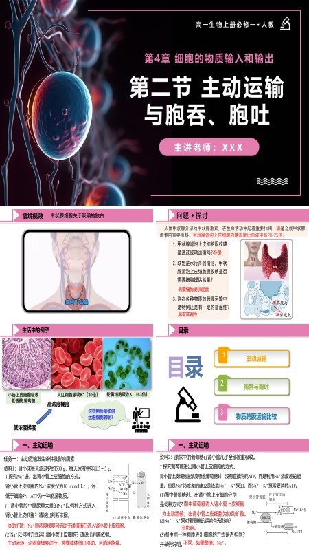 高一人教生物上册必修一4.2主动运输与胞吞、胞吐PPT课件含教案