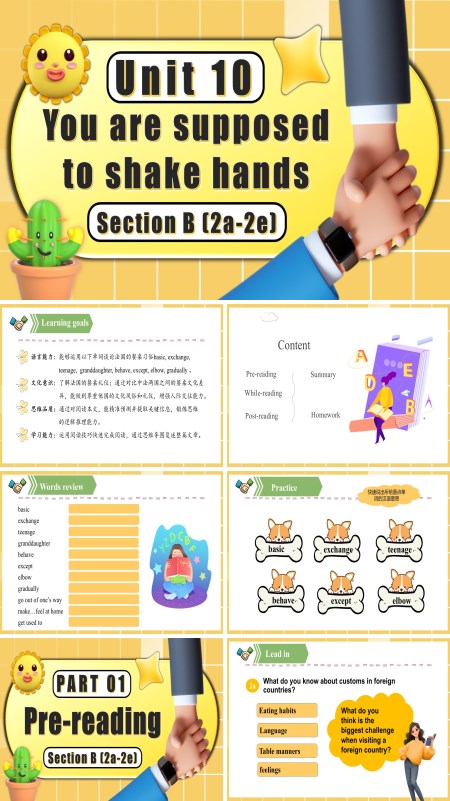 九年级英语全一册Unit 10 第5课时 Section B 2a 2e PPT课件含教案