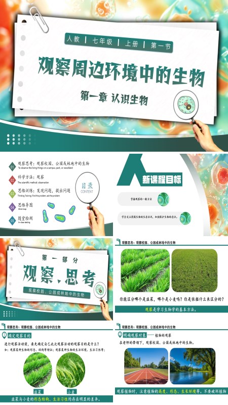 生物人教七年级生物上册观察周边环境中的PPT课件含教案