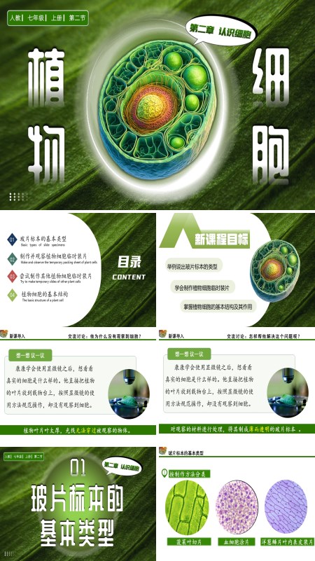 人教七年级生物上册植物细胞PPT课件含教案