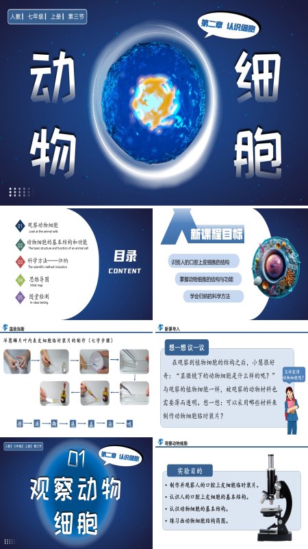 人教七年级生物上册动物细胞PPT课件含教案