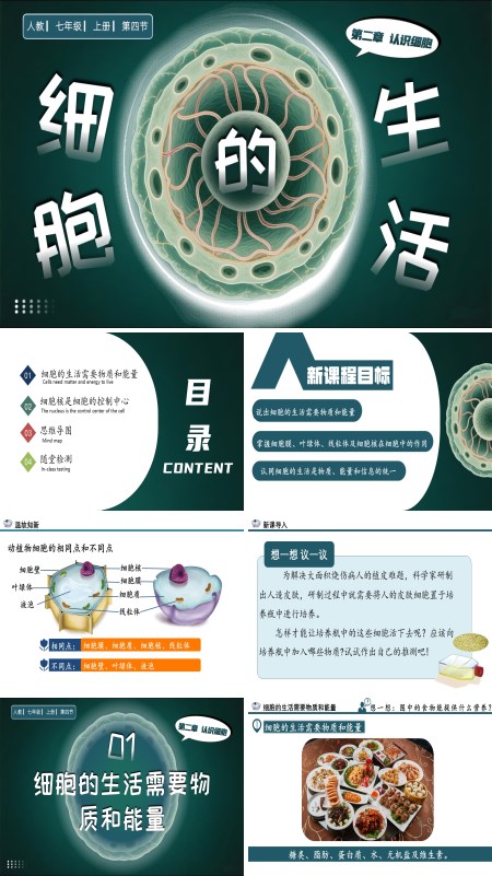 人教七年级生物上册细胞的生活PPT课件含教案
