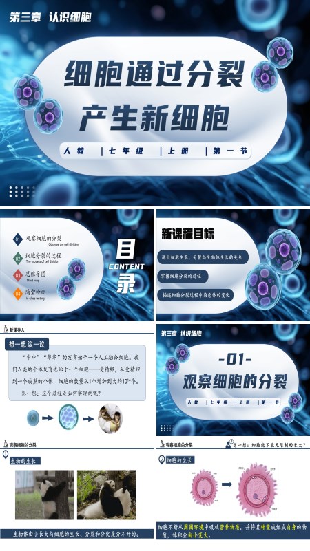 生物人教七年级生物上册细胞通过分裂产生新细胞PPT课件含教案