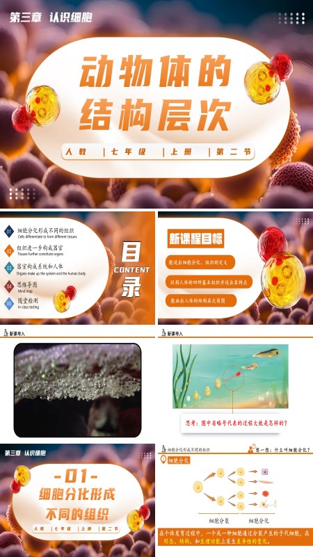 人教七年级生物上册动物体的结构层次生物PPT课件含教案