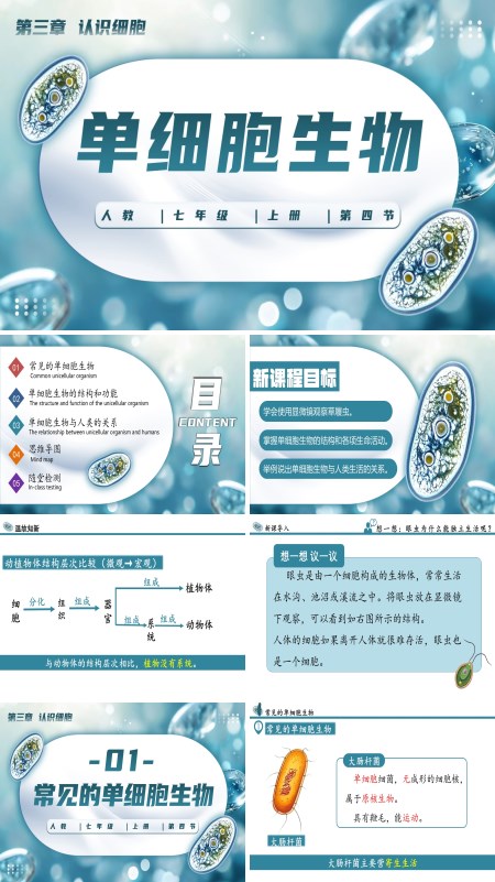 生物人教七年级生物上册单细胞生物PPT课件含教案