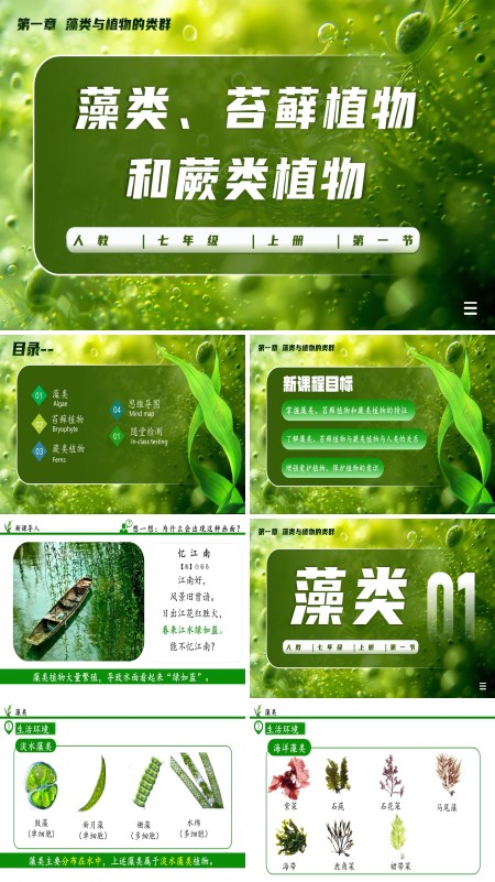 生物人教七年级生物上册藻类、苔藓植物和蕨类植物PPT课件含教案