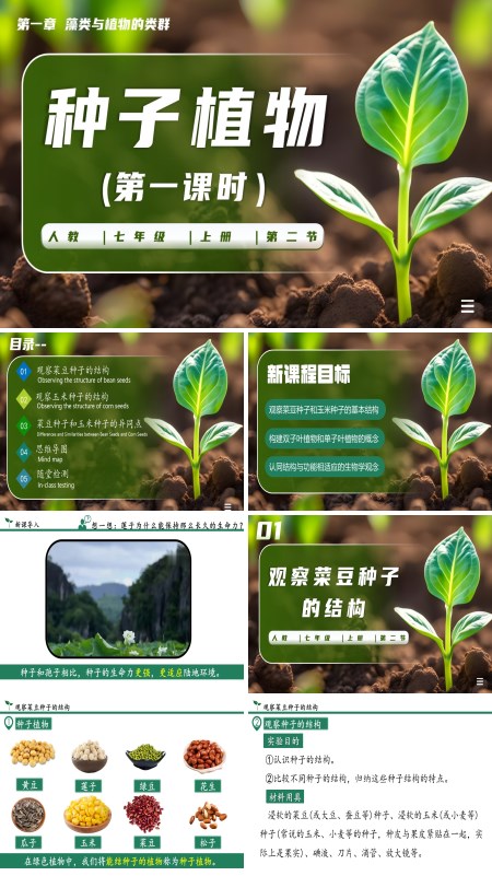 生物人教七年级生物上册种子植物第一课时PPT课件含教案