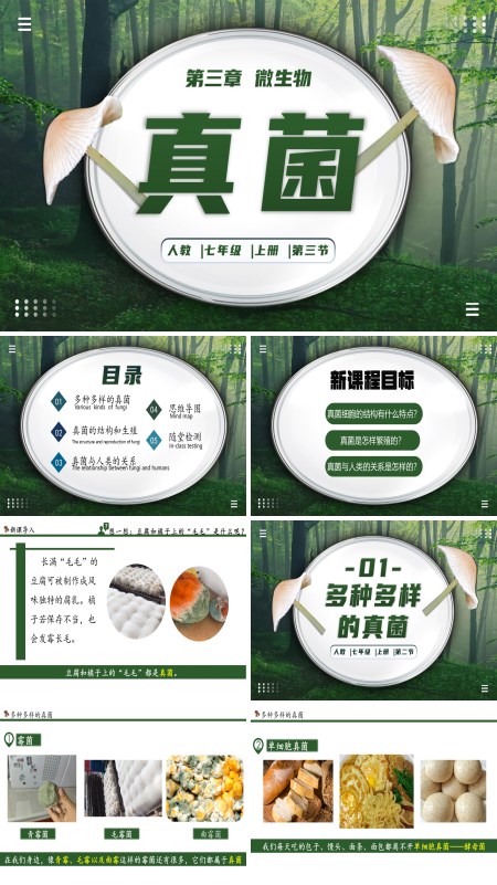 生物人教七年级生物上册真菌PPT课件含教案
