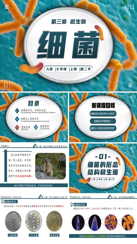 生物人教七年级生物上册细菌PPT课件含教案