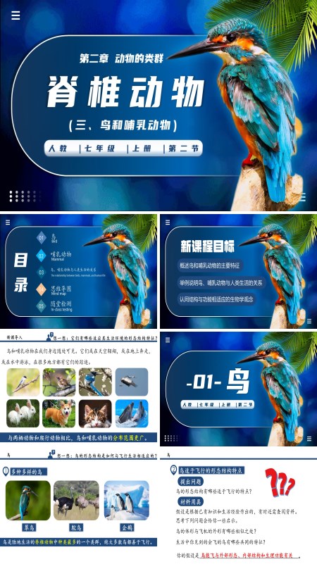 生物人教七年级生物上册脊椎动物（三、鸟和哺乳动物）PPT课件含教案