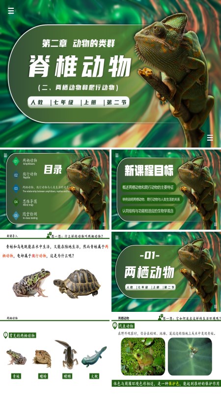 生物人教七年级生物上册脊椎动物（二、两栖动物和爬行动物）PPT课件含教案