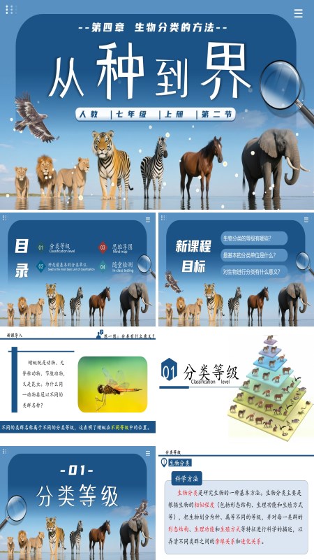 生物人教七年级生物上册从种到界PPT课件含教案