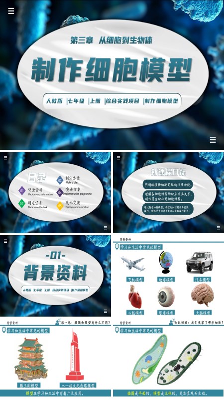生物人教七年级生物上册综合实践项目制作细胞模型PPT课件含教案
