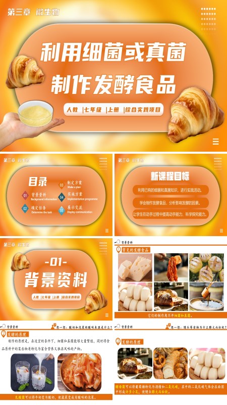 生物人教七年级生物上册综合实践项目利用细菌或真菌制作发酵食品PPT课件含教案