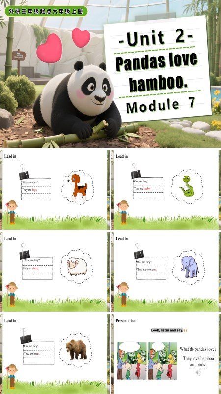 六年级英语上册外研Module 7 Unit 2 Pandas love bamboo. PPT课件含教案