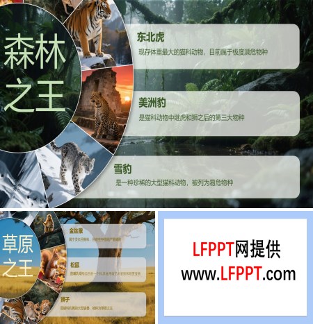 圆环图片转动切换动画PPT【特效动画 】模板