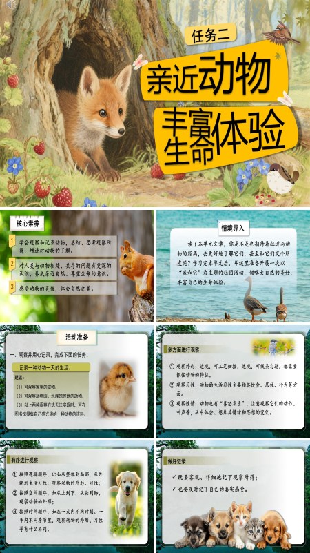 部编语文七年级上册任务二：亲近动物，丰富生命体验PPT课件含教案