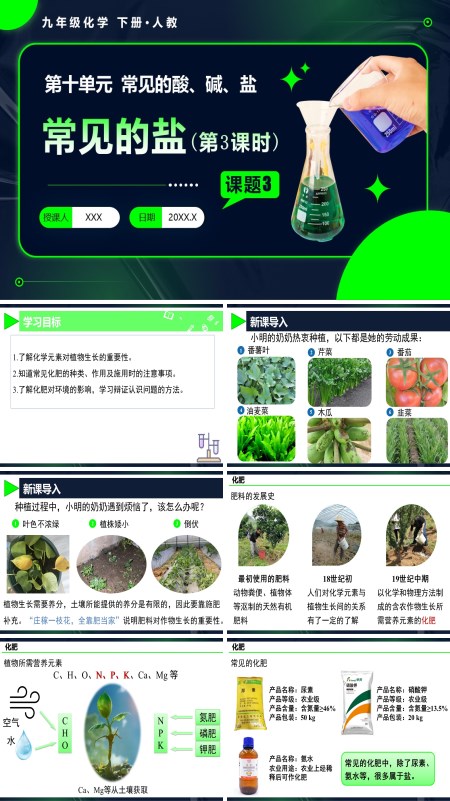 人教九年级化学下册课题3 常见的盐（第3课时）PPT课件含教案
