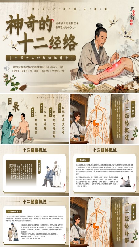 十二经络介绍PPT模板含讲稿