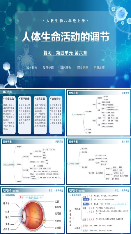八年级生物上册同步备课（人教版2024）第四单元第六章 人体生命活动的调节（复习课件）ppt课件含知识清单