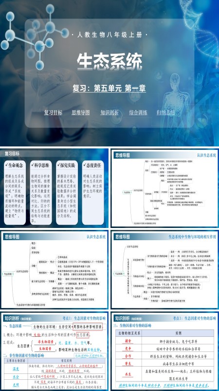 八年级生物上册同步备课系列（人教版2024）第五单元第一章 生态系统（复习课件）ppt课件含知识清单