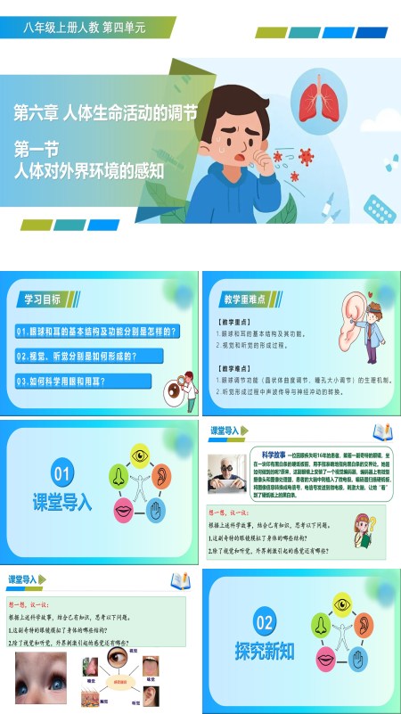 八年级生物上册 人教 4.6.1 人体对外界环境的感知（教学课件）ppt课件含教案