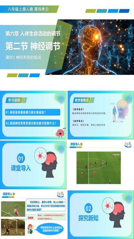 八年级生物上册 人教 4.6.2 神经调节 第1课时（教学课件） ppt课件含教案