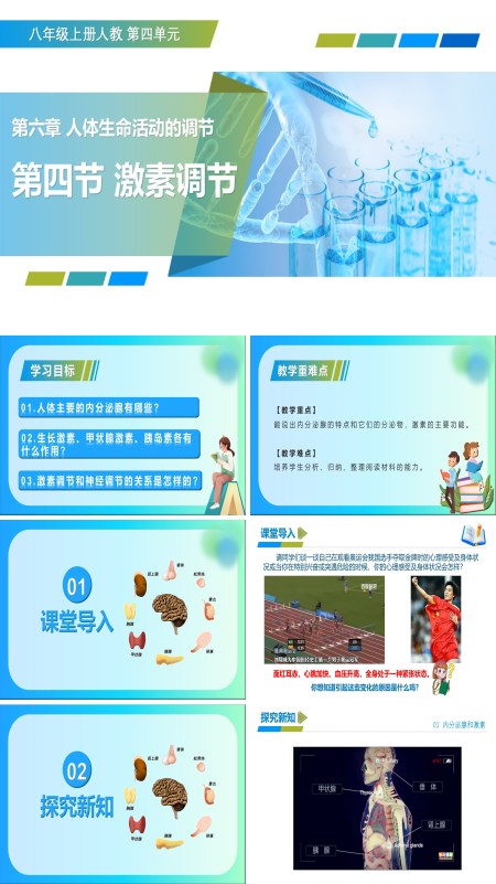 八年级生物上册 人教  4.6.4 激素调节（教学课件）ppt课件含教案