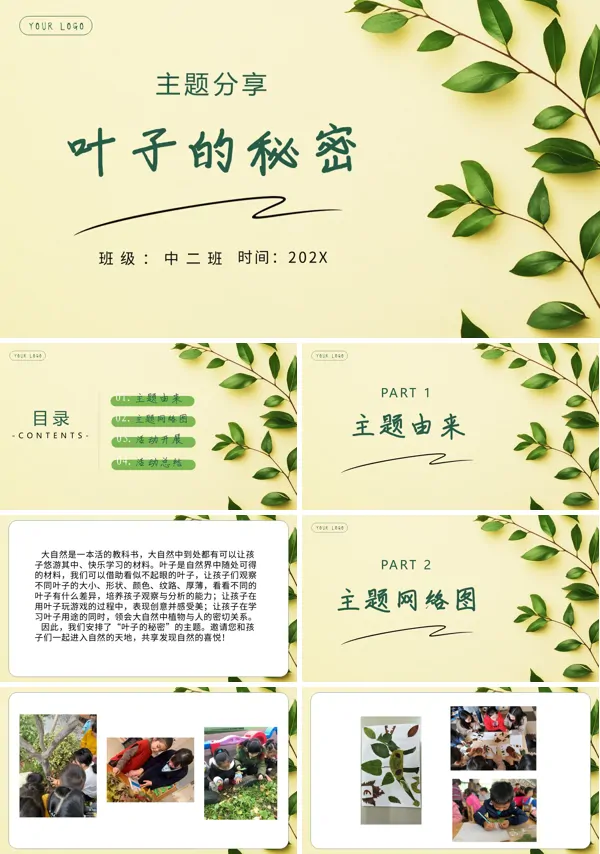 《叶子的秘密》PPT课件中班科学活动含讲稿