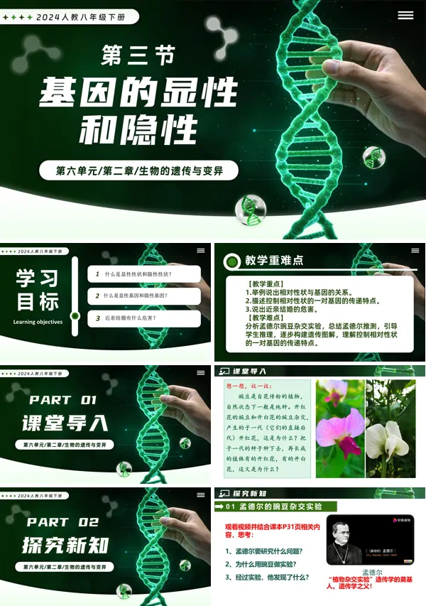 6.2.3 基因的显性和隐性新教材人教八年级生物下册第2章PPT课件（含教案+导学案+提升讲义+分层作业）
